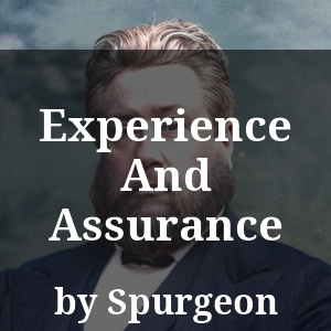 Experience And Assurance