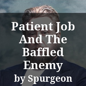 Patient Job And The Baffled Enemy