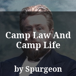 Camp Law And Camp Life