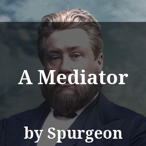 A Mediator