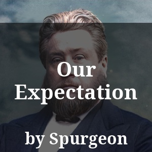 Our Expectation