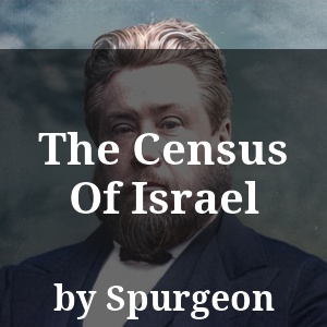 The Census Of Israel