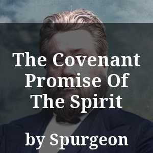 The Covenant Promise Of The Spirit