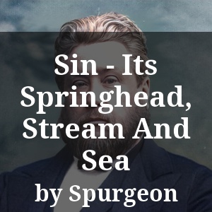 Sin - Its Springhead, Stream And Sea