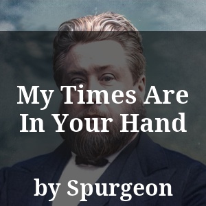 My Times Are In Your Hand