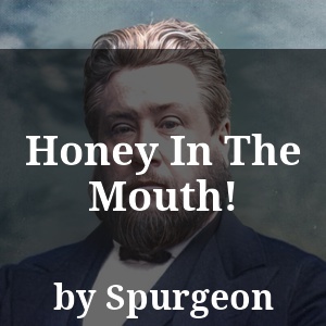 Honey In The Mouth!