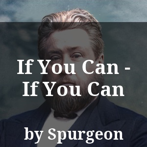 If You Can - If You Can