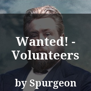 Wanted! - Volunteers