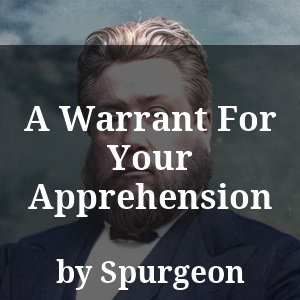 A Warrant For Your Apprehension