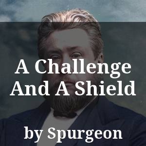 A Challenge And A Shield