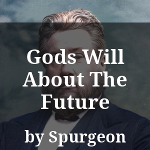 Gods Will About The Future