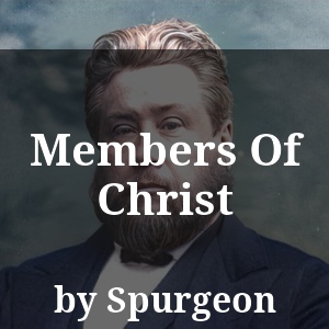 Members Of Christ