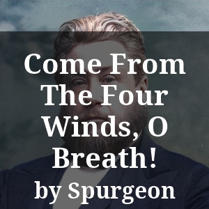 Come From The Four Winds, O Breath!