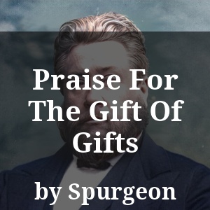 Praise For The Gift Of Gifts