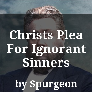 Christs Plea For Ignorant Sinners