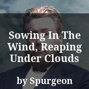 Sowing In The Wind, Reaping Under Clouds