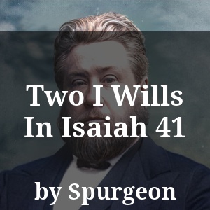 Two I Wills In Isaiah 41