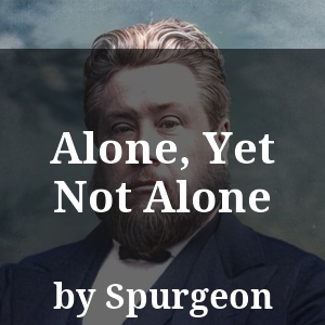 Alone, Yet Not Alone