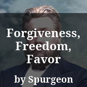 Forgiveness, Freedom, Favor