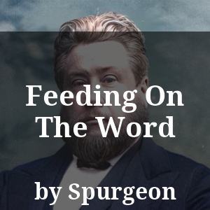 Feeding On The Word