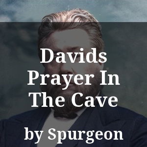 Davids Prayer In The Cave