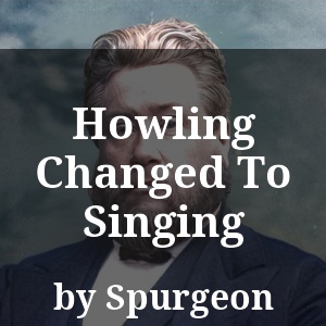 Howling Changed To Singing