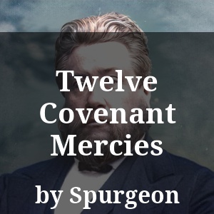 Twelve Covenant Mercies