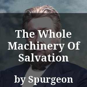 The Whole Machinery Of Salvation