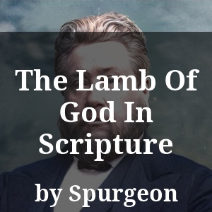 The Lamb Of God In Scripture