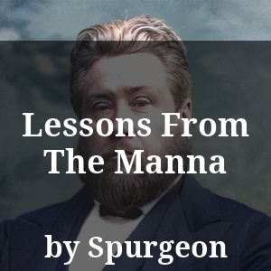 Lessons From The Manna