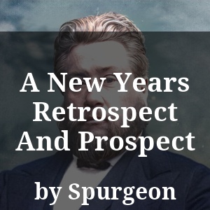 A New Years Retrospect And Prospect