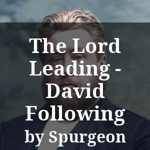 The Lord Leading - David Following