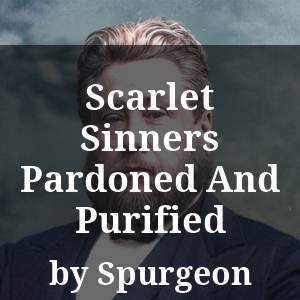 Scarlet Sinners Pardoned And Purified