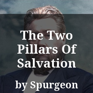 The Two Pillars Of Salvation