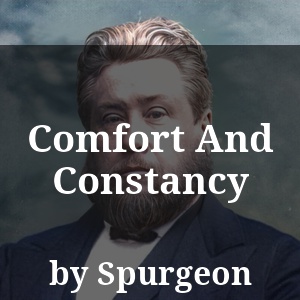 Comfort And Constancy