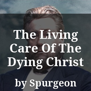 The Living Care Of The Dying Christ