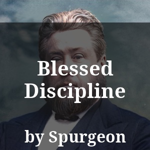 Blessed Discipline