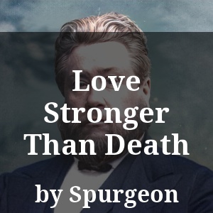 Love Stronger Than Death