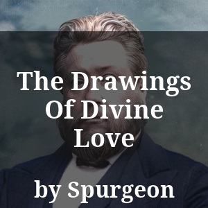 The Drawings Of Divine Love