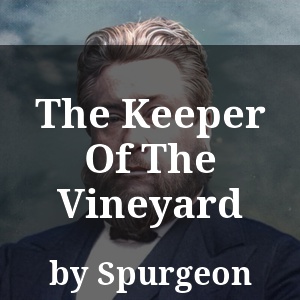 The Keeper Of The Vineyard