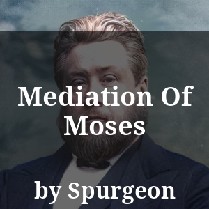 Mediation Of Moses