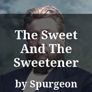 The Sweet And The Sweetener