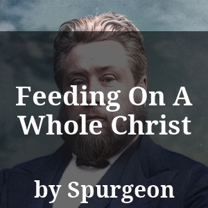 Feeding On A Whole Christ