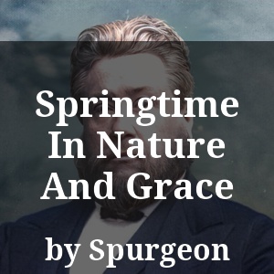 Springtime In Nature And Grace