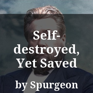 Self-destroyed, Yet Saved