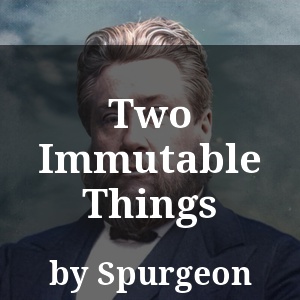 Two Immutable Things