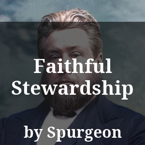 Faithful Stewardship