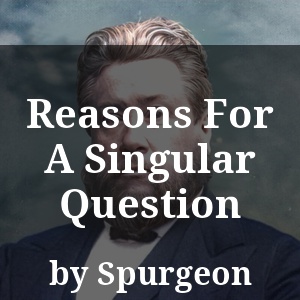 Reasons For A Singular Question