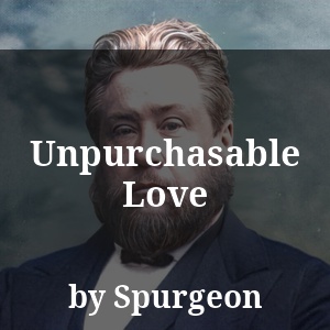 Unpurchasable Love