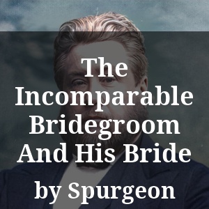 The Incomparable Bridegroom And His Bride